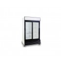 Armarios refrigeración de doble puerta cristal serie delta DBQ-700-LSC (1115x700x2000 mm)