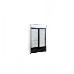Armarios refrigeración de doble puerta cristal serie delta DBQ-800-LS (1115x720x2000 mm)